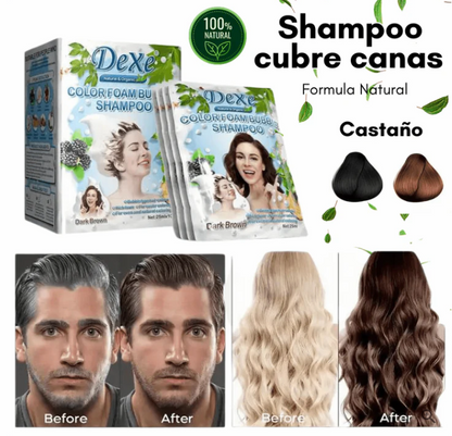 SHAMPOO CUBRECANAS DEXE (castaño) 10 Sachets + PEINE GRATIS  para teñir