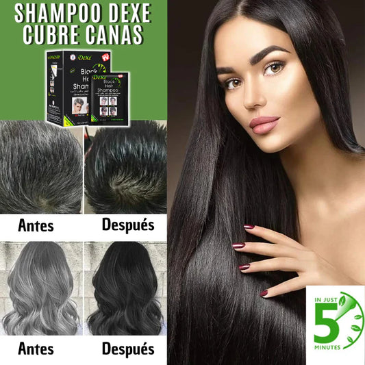 SHAMPOO CUBRECANAS DEXE (negro)  10 sachets