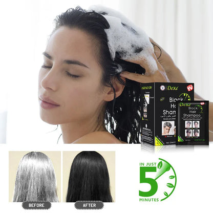 SHAMPOO CUBRECANAS DEXE (negro)  10 sachets