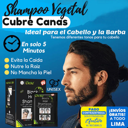 SHAMPOO CUBRECANAS DEXE (negro)  10 sachets